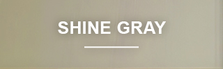 shine gray